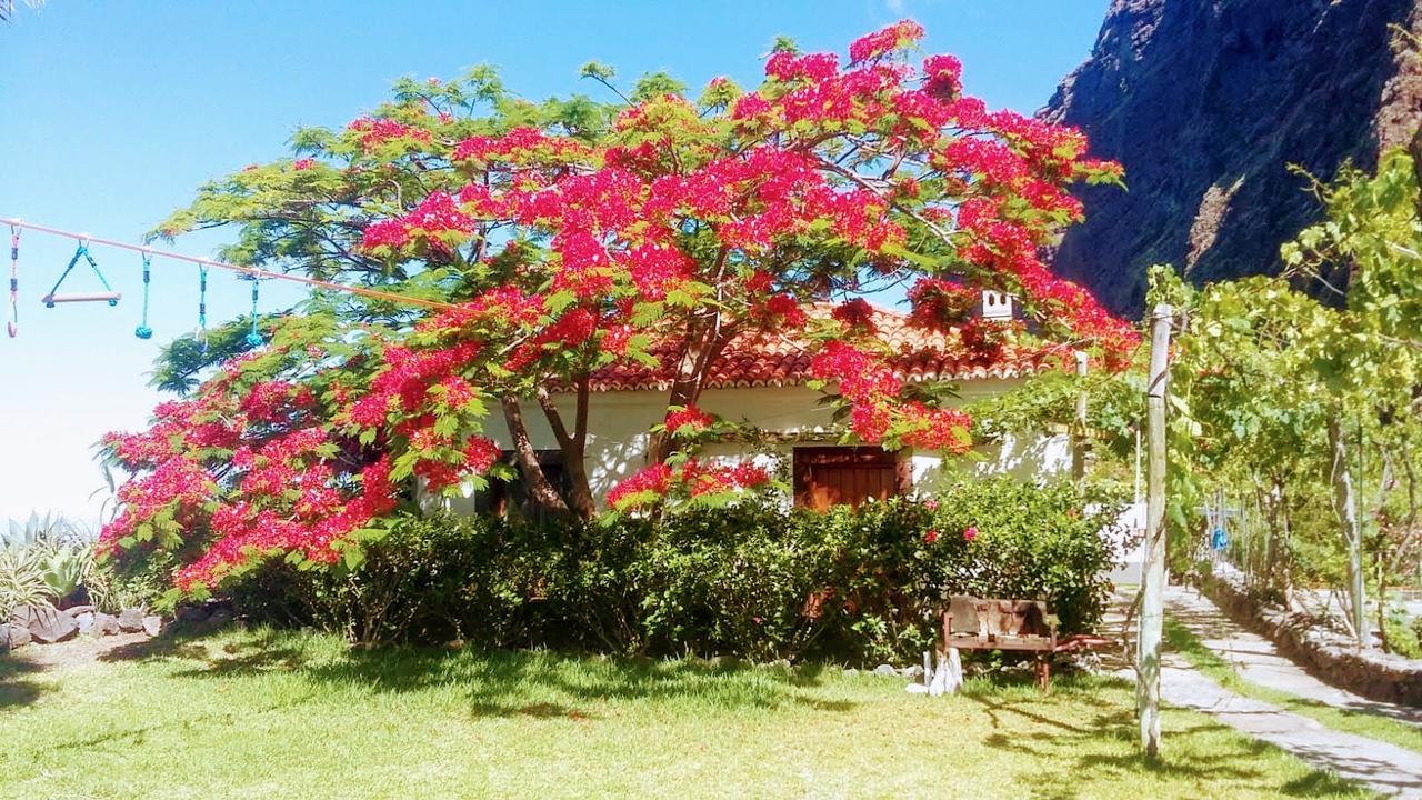 Faja Dos Padres Villa Ribeira Brava Exterior photo